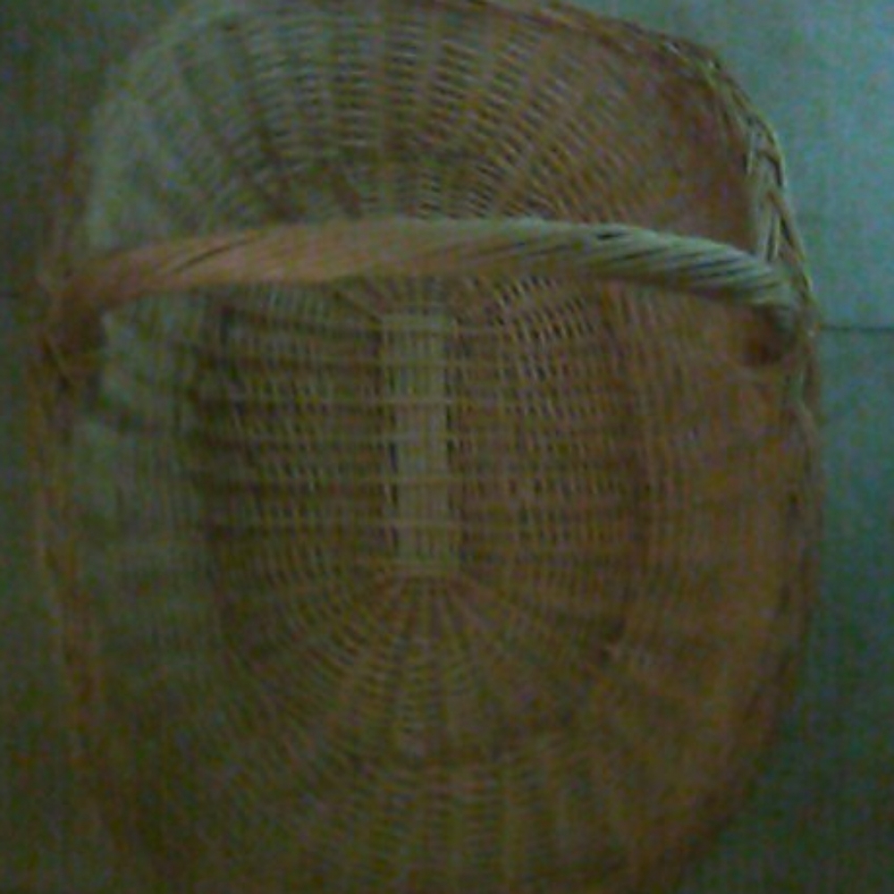 Plant holder\ basket